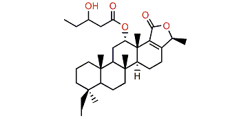 Phyllofolactone J